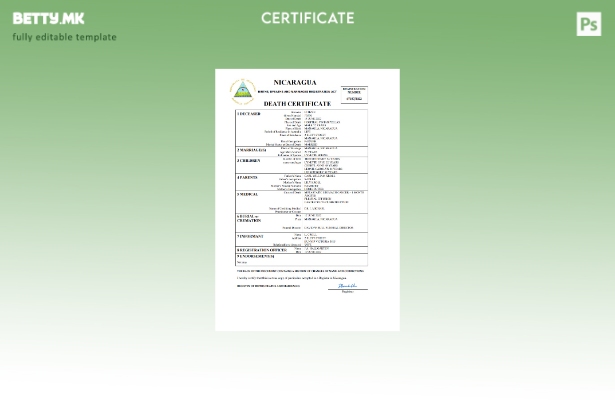 модерен стил Никарагва витална евиденција за смртен шаблон Word и PDF шаблон